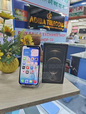 অ্যাপল আইফোন ১২ প্রো ২৫৬ জিবি গোল্ড