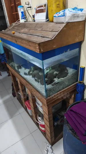 এ্যাকুরিয়াম ৪৩"/১৫.৬"