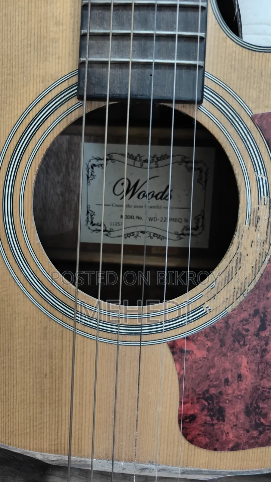 Acoustic Guitar