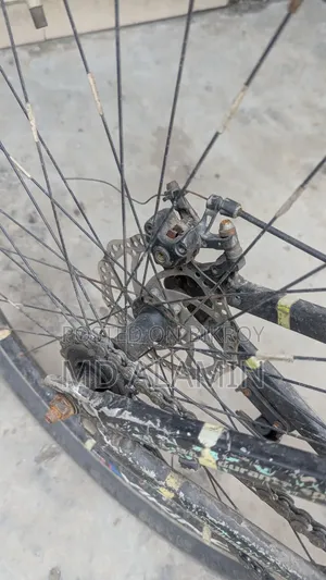 Cycle for Sale