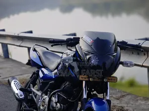 Bajaj Pulsar 150 2016 Black