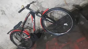 25-inch Bicycle