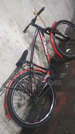 25-inch Bicycle