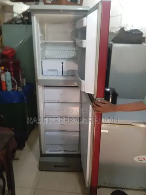 ২৬০ লিটার ফ্রিজ বিক্রি করা হবে ওয়ালটন কোম্পানির।