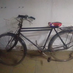 This Cycle Will Be Sold