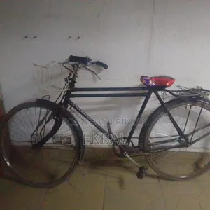 This Cycle Will Be Sold