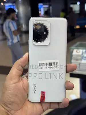 অনার ১০০ ২৫৬ জিবি সিলভার