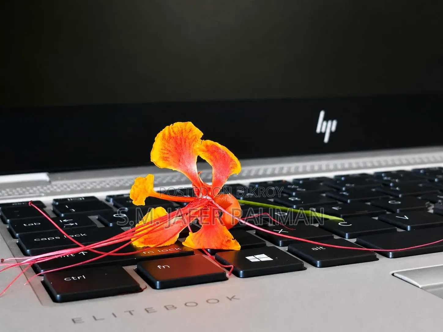 ল্যাপটপ HP EliteBook 745 G6 8GB AMD Ryzen SSD 256GB