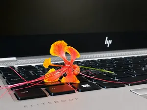 ল্যাপটপ HP EliteBook 745 G6 8GB AMD Ryzen SSD 256GB