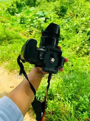ক্যানন ৬ডি এবং ৫০মিমি লেন্স