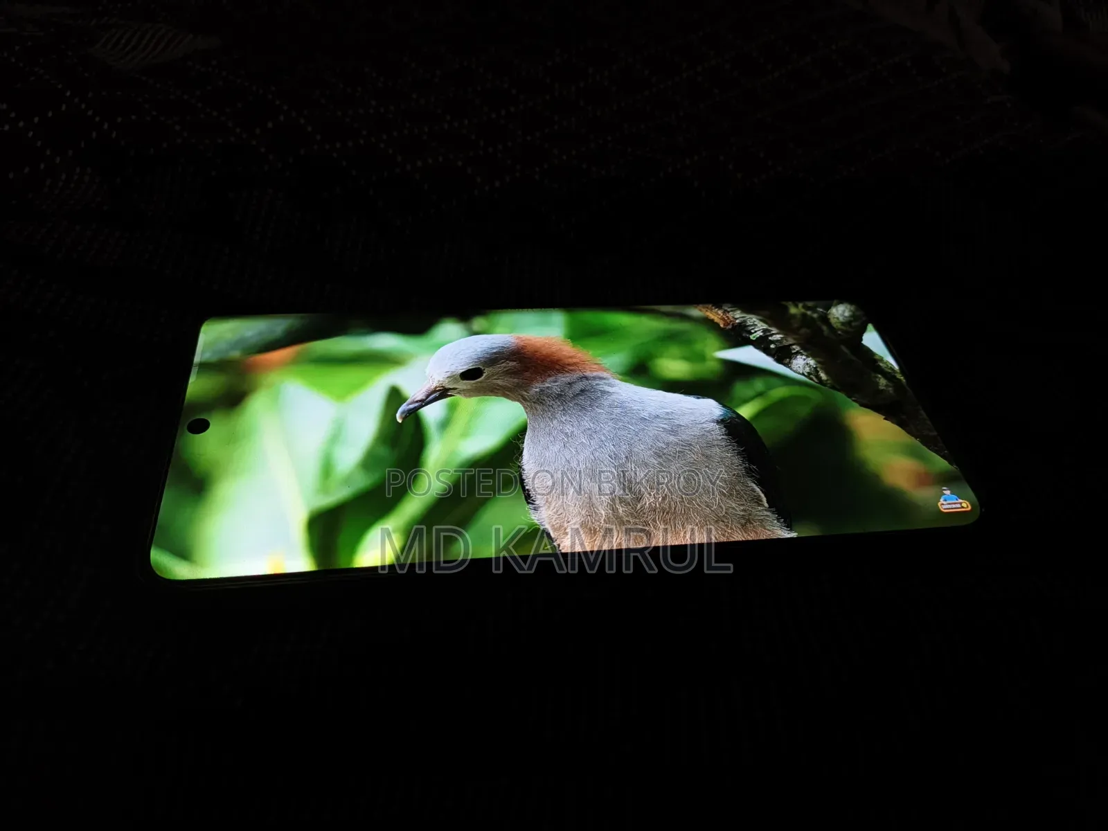 টেকনো পোভা কার্ভ ২৫৬ জিবি কালো