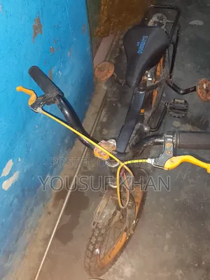 Mini Cycle