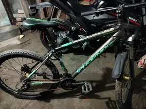 Phoenix Cycle for Sale
