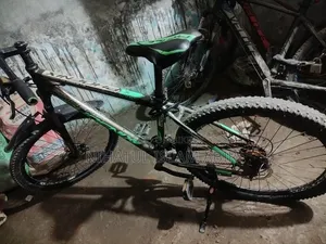 Phoenix Cycle for Sale