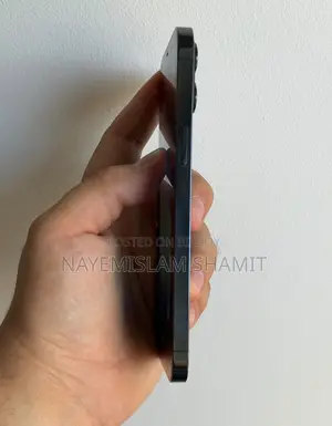 অ্যাপল আইফোন ১২ প্রো ম্যাক্স ১২৮ জিবি ব্লু