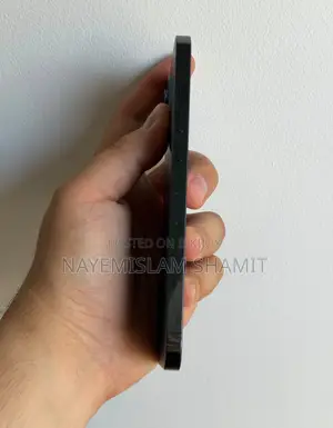 অ্যাপল আইফোন ১২ প্রো ম্যাক্স ১২৮ জিবি ব্লু