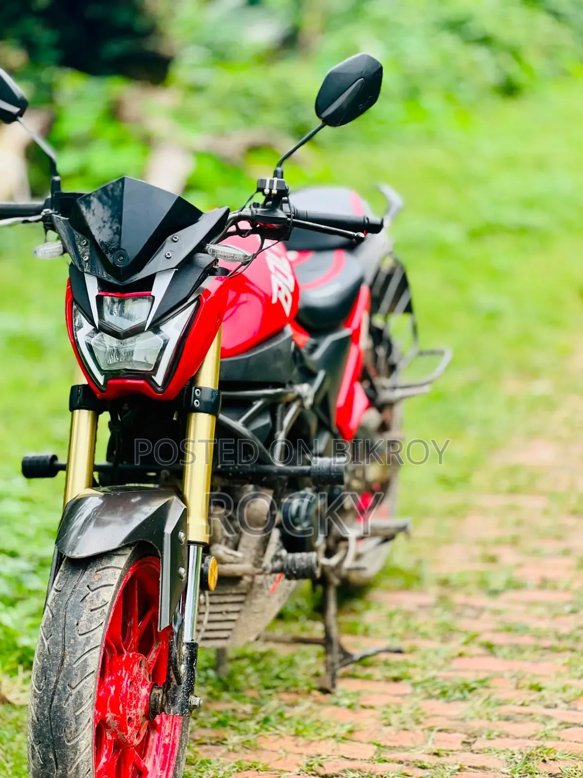 Runner Bolt 165R 2022 Red