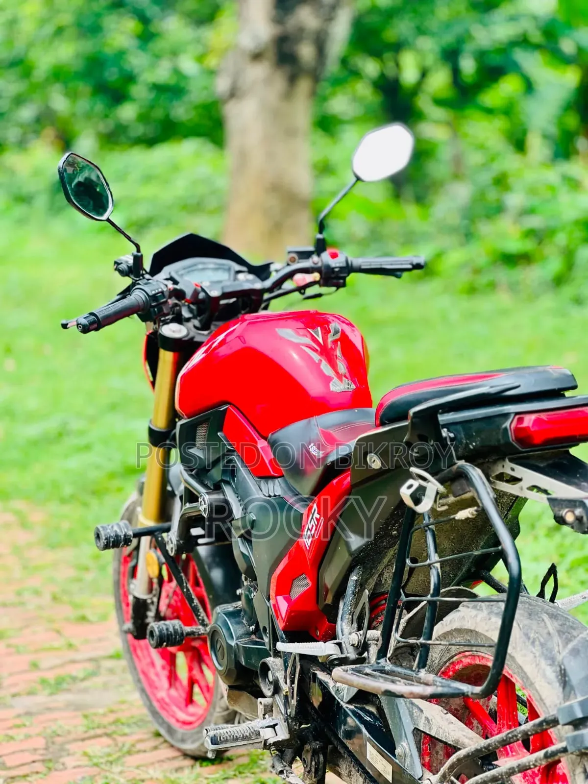 Runner Bolt 165R 2022 Red