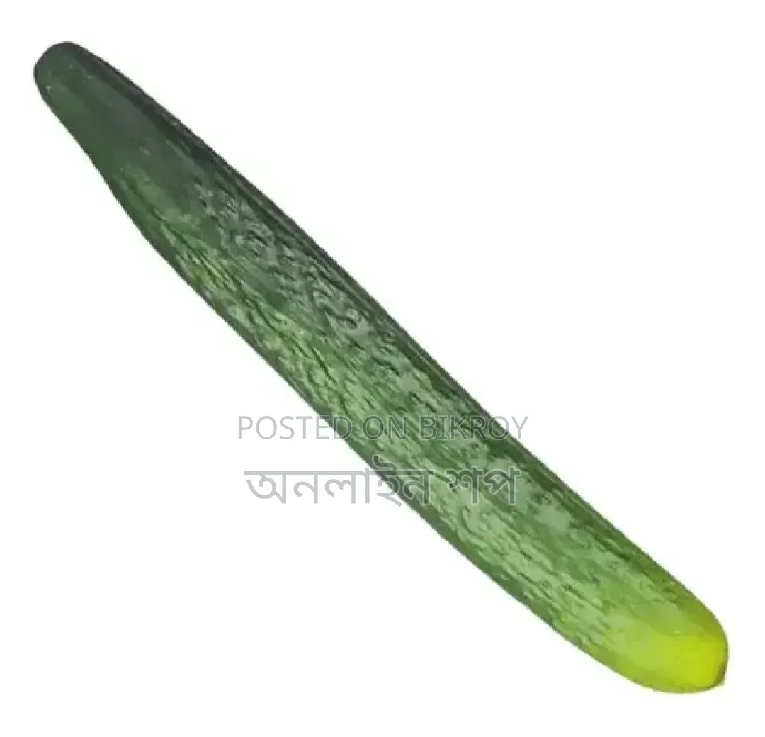 Simulation Foam Cucumber Model Realistic Photography for Dining Room