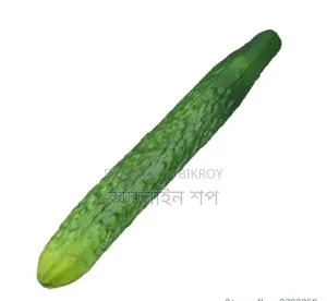 Simulation Foam Cucumber Model Realistic Photography for Dining Room