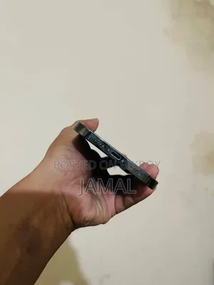অ্যাপল আইফোন ১২ প্রো ম্যাক্স ২৫৬ জিবি ব্রোঞ্জ
