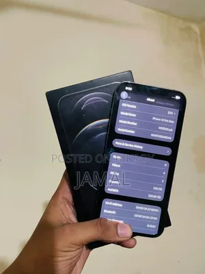 অ্যাপল আইফোন ১২ প্রো ম্যাক্স ২৫৬ জিবি ব্রোঞ্জ