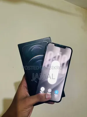 অ্যাপল আইফোন ১২ প্রো ম্যাক্স ২৫৬ জিবি ব্রোঞ্জ