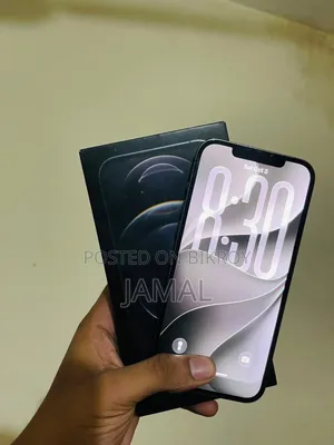 অ্যাপল আইফোন ১২ প্রো ম্যাক্স ২৫৬ জিবি ব্রোঞ্জ