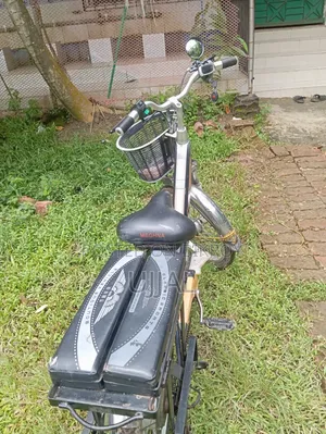 Electric Bicycle