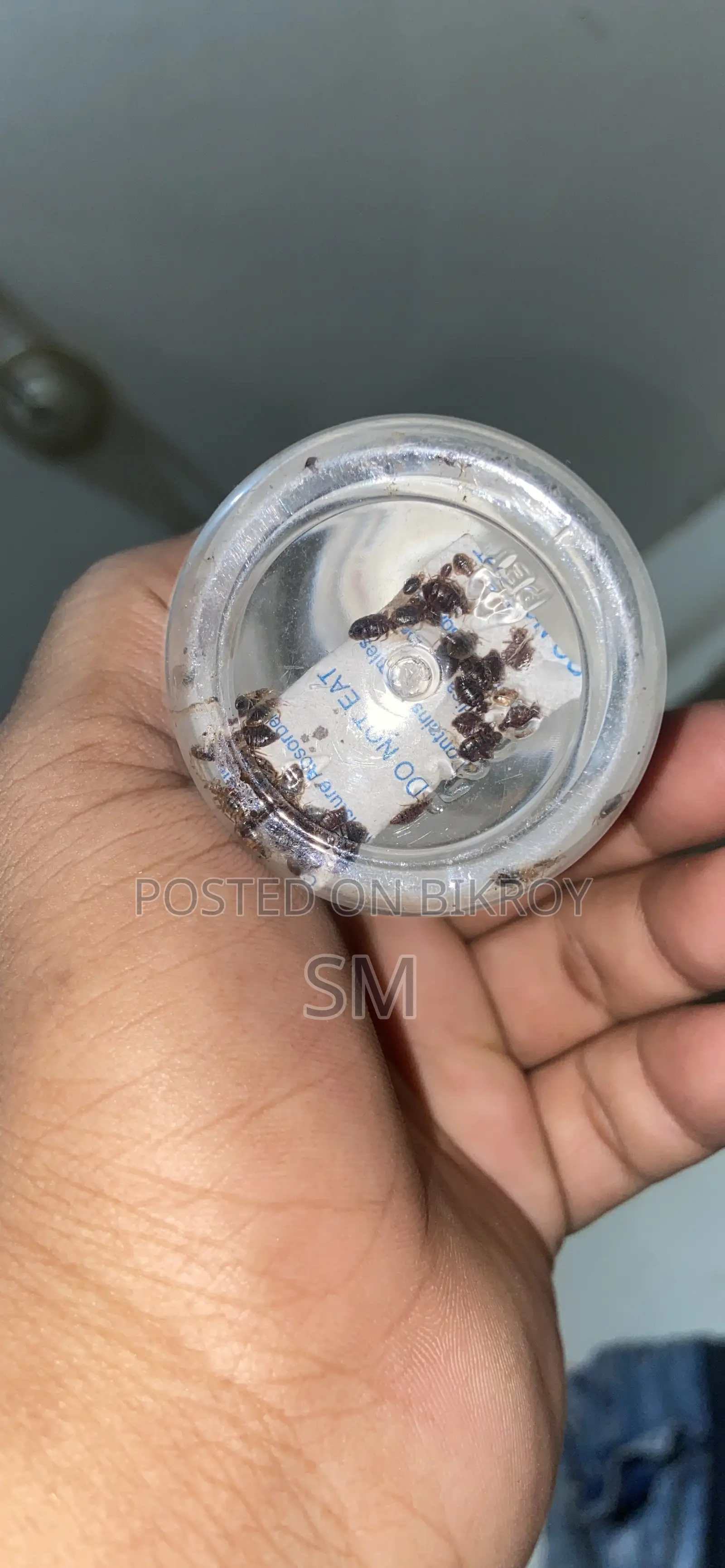 চারপোকা লাগলে নিতে পারেন