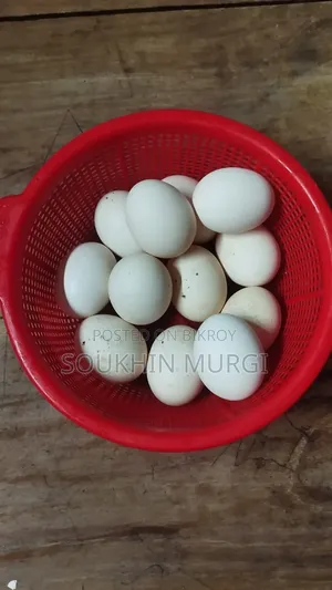Serama Hatching Eggs