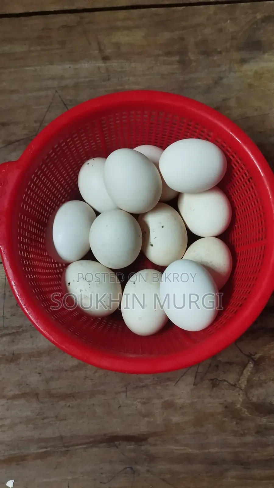 Serama Hatching Eggs