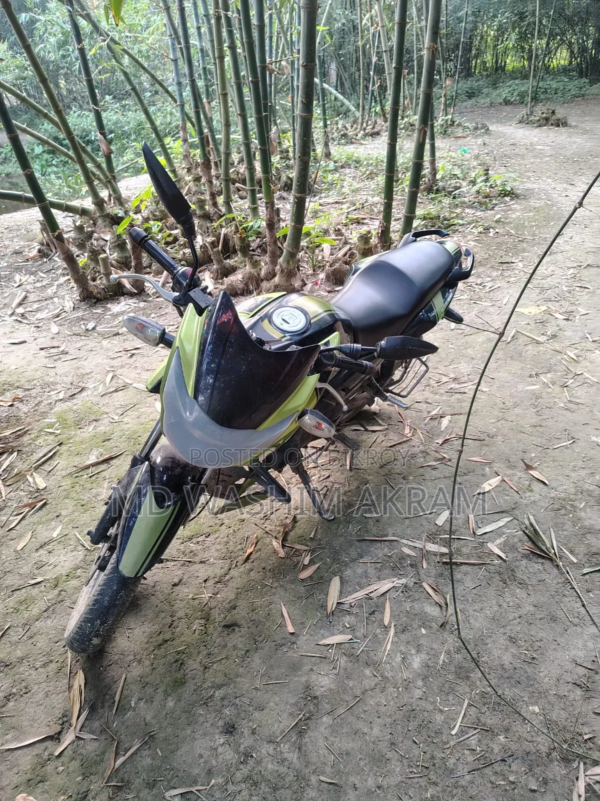 TVS 2018 Green