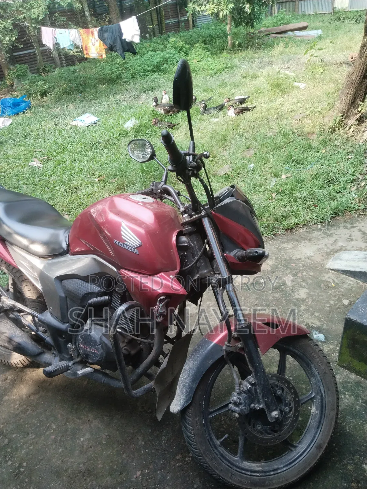 হন্ডা ২০১৯ লাল
