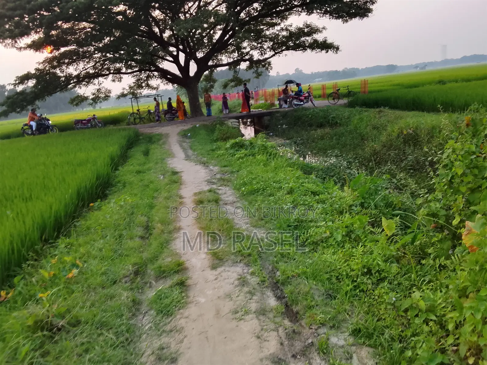 Akij Duronto 2026 Green