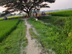 Akij Duronto 2026 Green