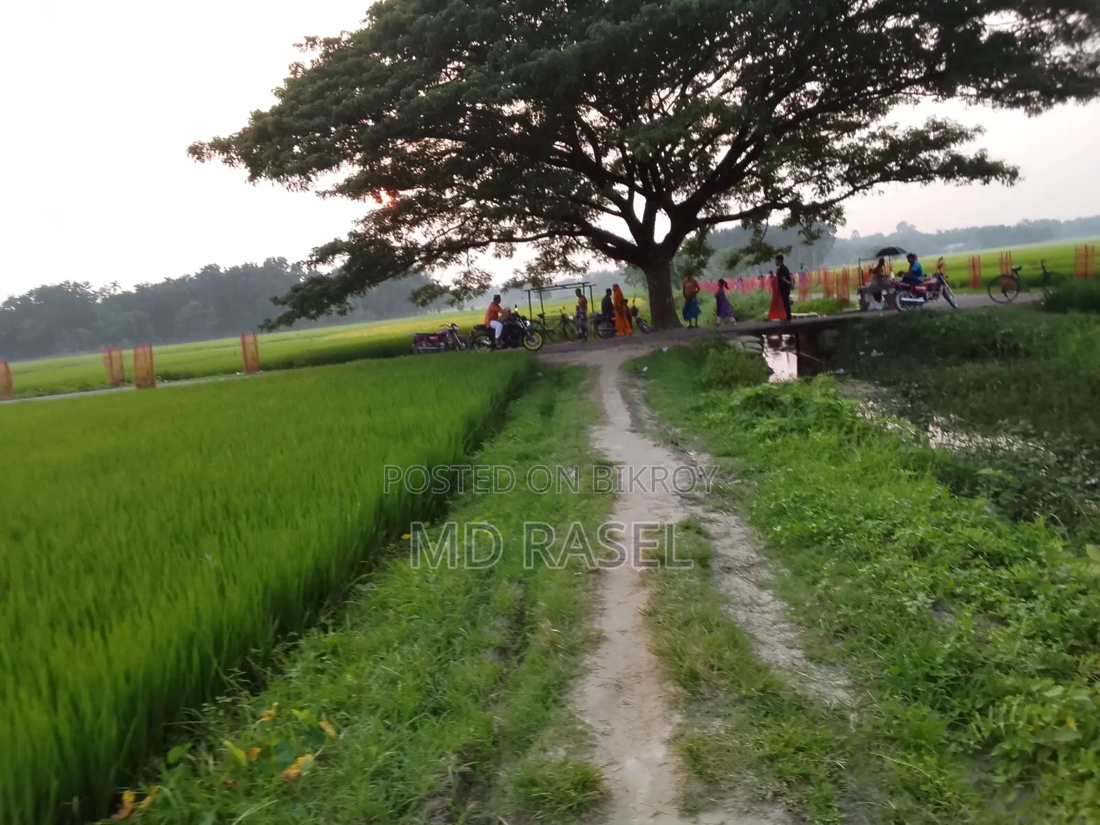 Akij Duronto 2026 Green