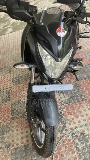 Bajaj Pulsar 125 2024 Gray