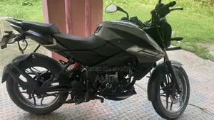 Bajaj Pulsar 125 2024 Gray