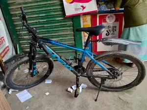 Phoenix Harod 02