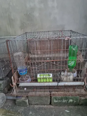 মোটা পাইপ এর একটা বড় খাঁচা বিক্রি