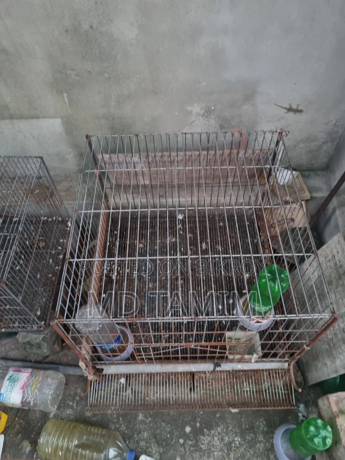 মোটা পাইপ এর একটা বড় খাঁচা বিক্রি