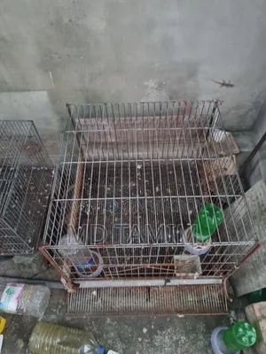 মোটা পাইপ এর একটা বড় খাঁচা বিক্রি