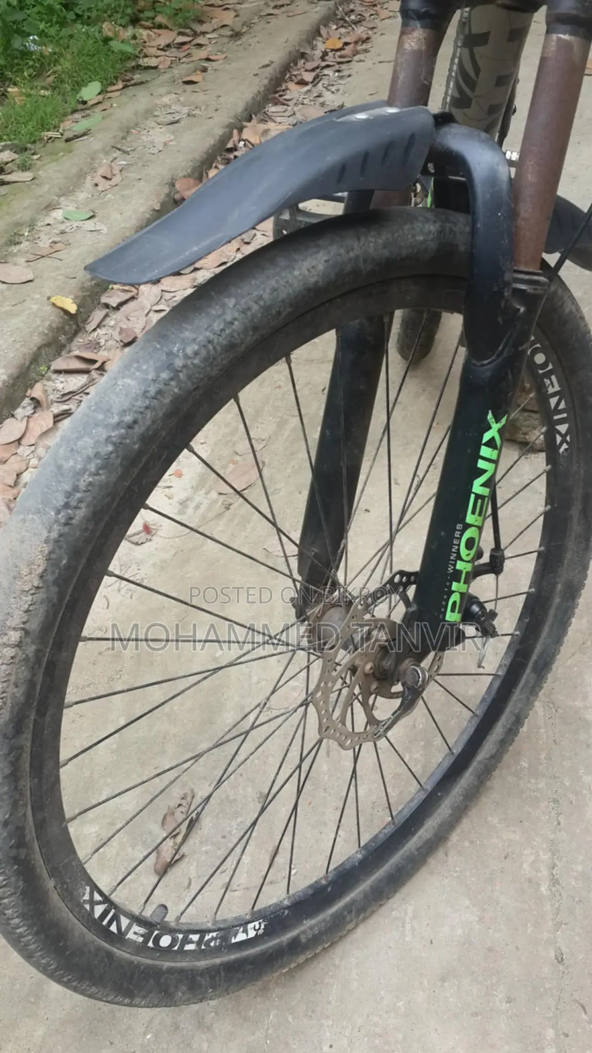 Phoenix Kubo 26" Cycle – Used, Good Condition