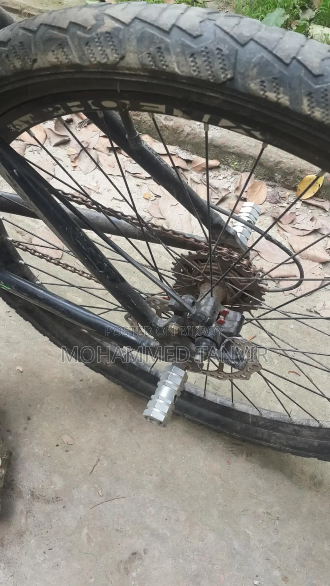 Phoenix Kubo 26" Cycle – Used, Good Condition