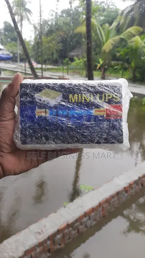 Mini UPS Module