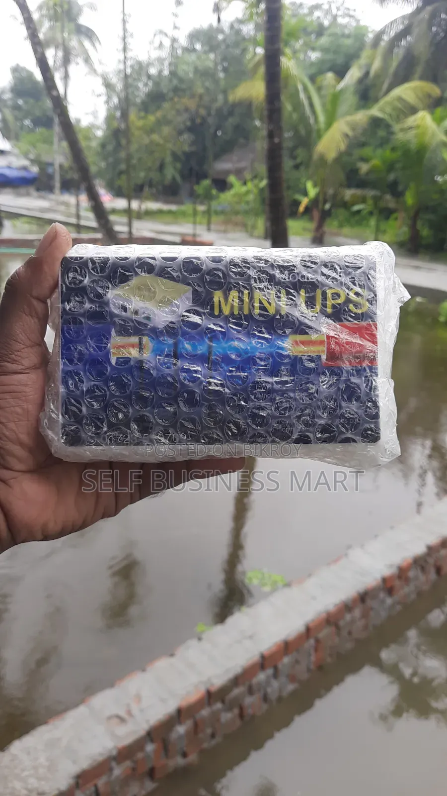 Mini UPS Module