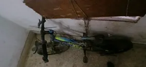 Good Quality Bicycle for Sale