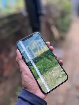 অ্যাপল আইফোন ১২ প্রো ম্যাক্স ২৫৬ জিবি নীল