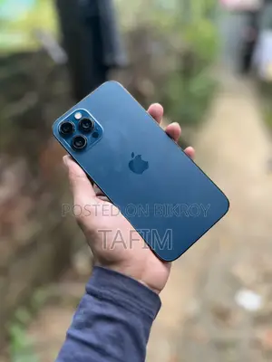 অ্যাপল আইফোন ১২ প্রো ম্যাক্স ২৫৬ জিবি নীল